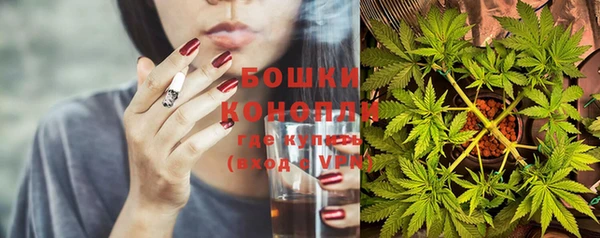сатива Володарск