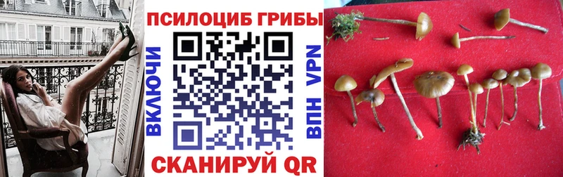 Галлюциногенные грибы мицелий  Лыткарино 